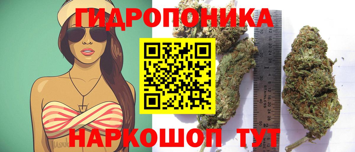 Конопля SATIVA & INDICA  Вход с VPN  Асино  Шишки марихуана тримм  Марихуана гибрид 